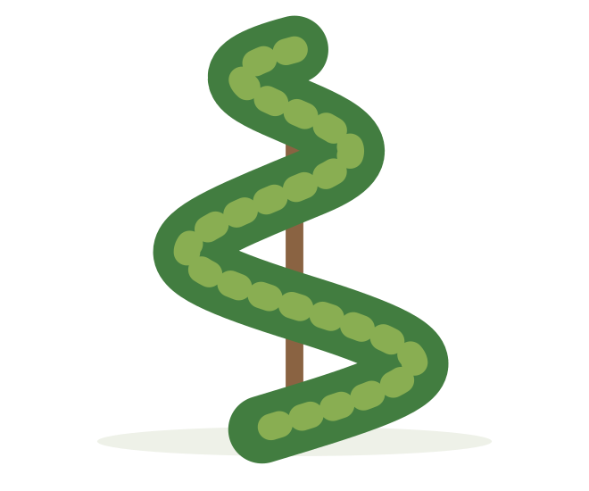 SPIRAL – ilustrácia rastliny
