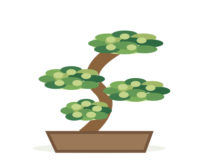 BONSAI – ilustrácia rastliny