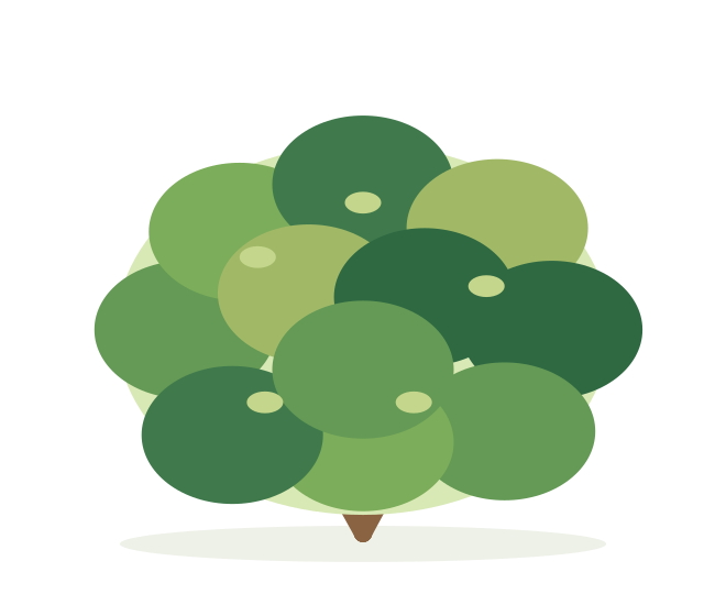 KRÍK – ilustrácia rastliny