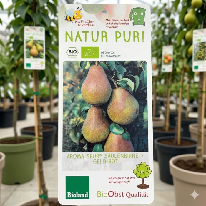 Stĺpovitá hruška Aroma Spur® žlto-červená – Úroda pre malé záhrady