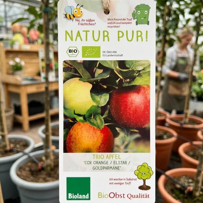 Jabloň BIO TRIO (120+ cm) – Elstar, Zlatá parména a Orange