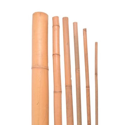 Bambusová tyč 240cm /18-20m