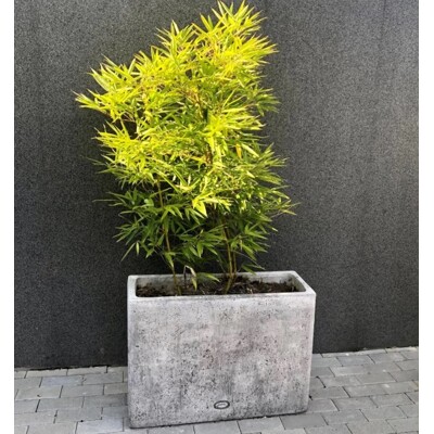 Kvetináč INNOVA Minimal ''M'' - vysoká (Šedá popol)