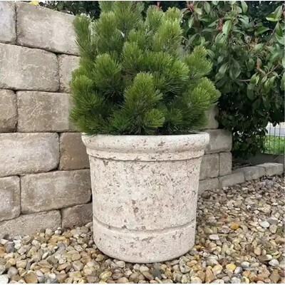 Kvetináč BUDAPEST 60 (Hnedá)