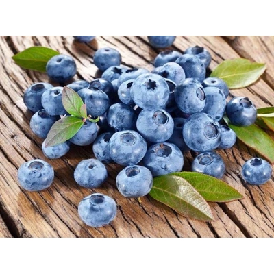 Čučoriedky - Vaccinium corymbosum ´Bluecrop´ Co2,5L  30/40