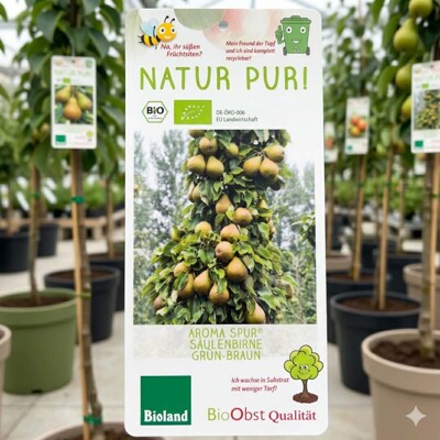 Stĺpovitá hruška Aroma Spur® BIO – Sladká úroda na malej ploche