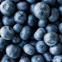 Čučoriedka kanadská ´Dixi´ – Neskorá aromatická odroda s bohatou úrodou