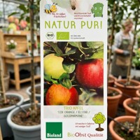 Jabloň BIO TRIO (120+ cm) – Elstar, Zlatá parména a Orange